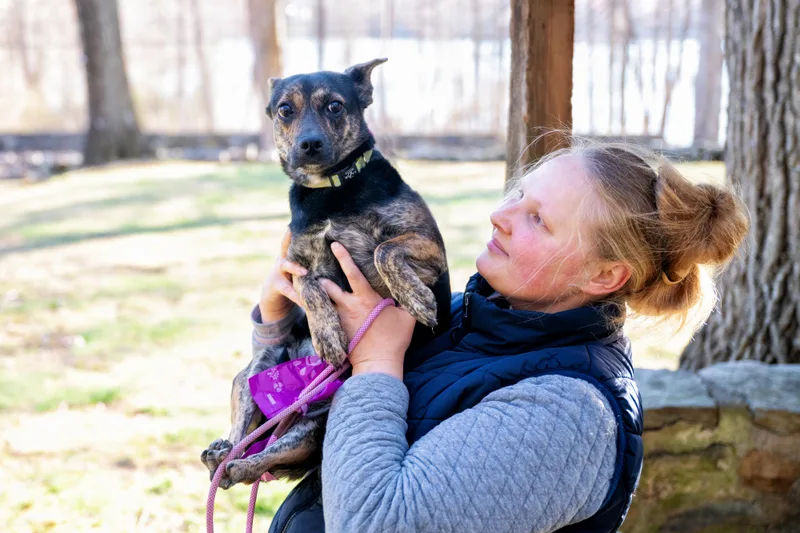 Little Sophie thumbnail 3