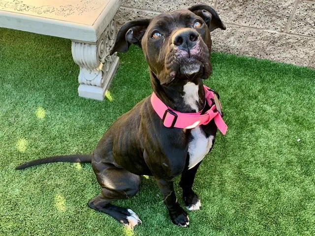 Save Me Please! Maritza