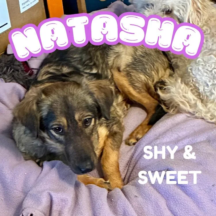 Natasha Lb thumbnail 2