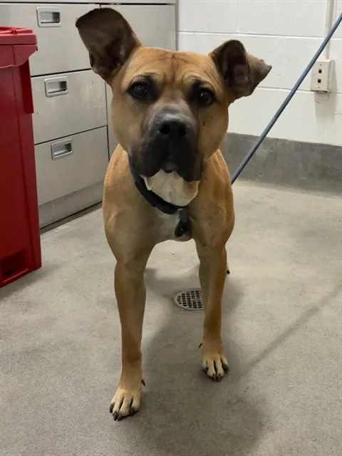 Fiona