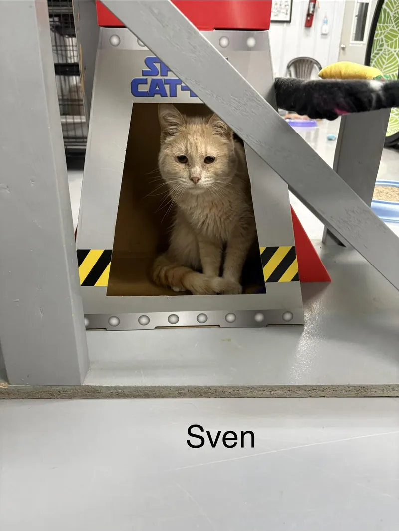 Sven