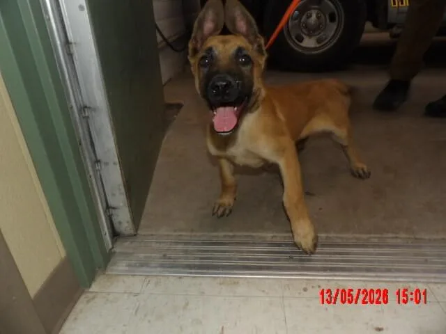 Jax
