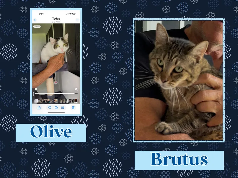 Olive & Brutus thumbnail 2