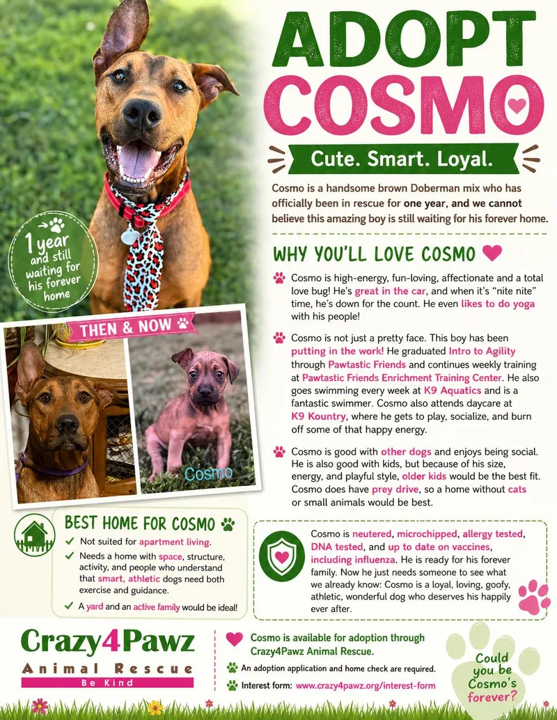 Cosmo Kramer thumbnail 5