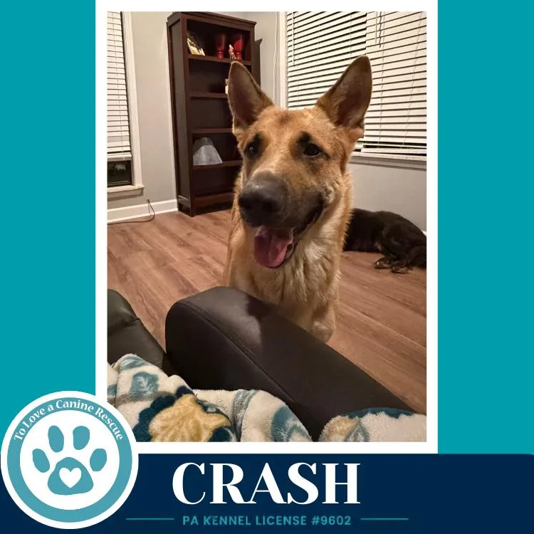 Crash thumbnail 3