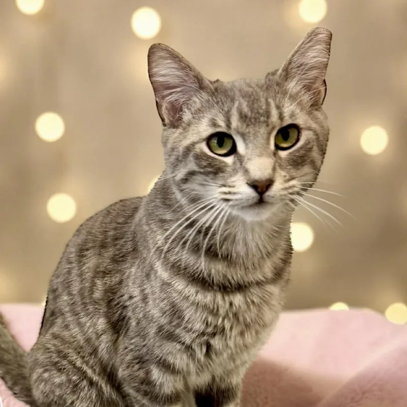 Sophia Day thumbnail 2