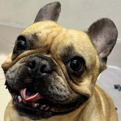 Maggie thumbnail 2