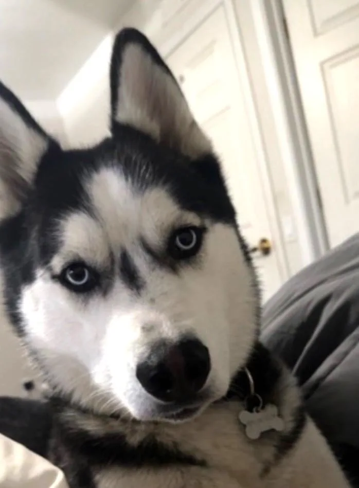 Luca thumbnail 3