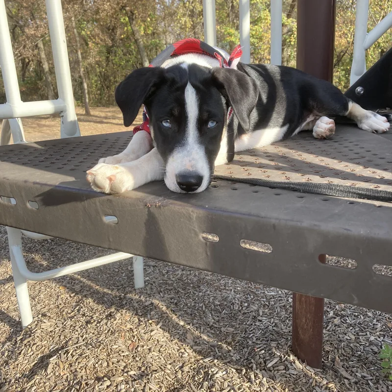 Elizabeth thumbnail 2