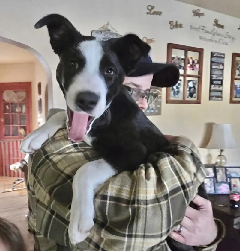 Nellie thumbnail 3
