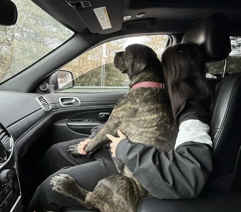 Princess Dior thumbnail 2