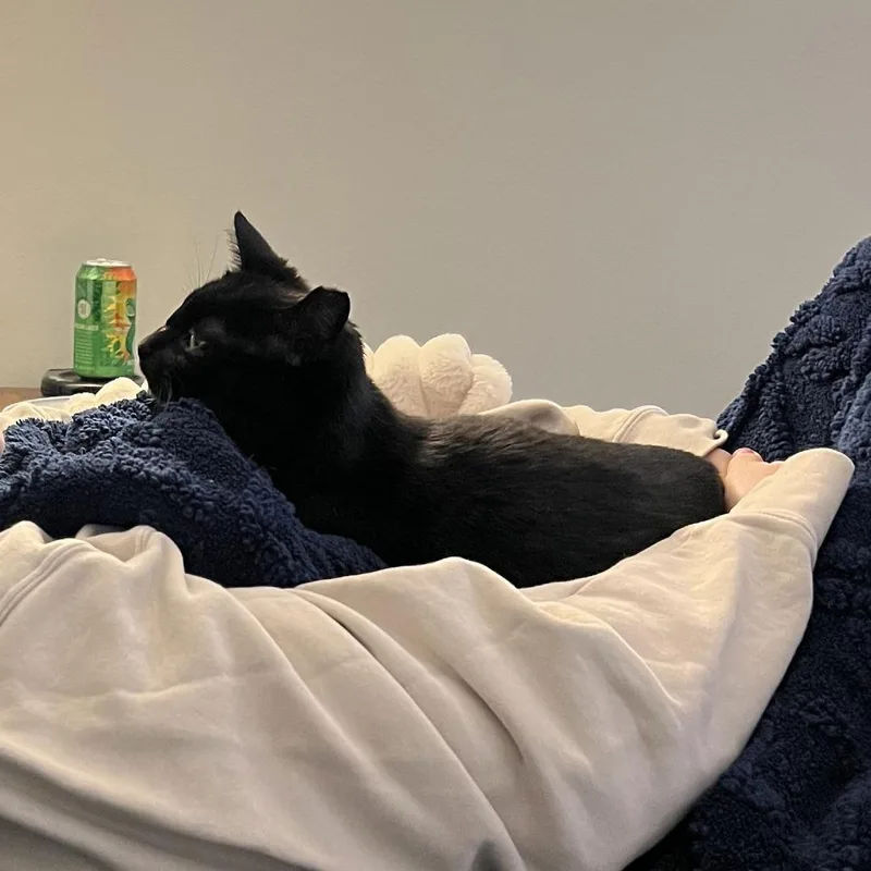 Dipstick thumbnail 5