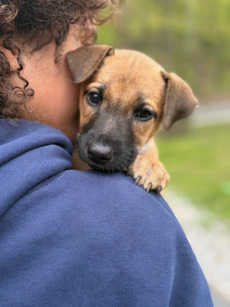 Toto  The Cuddle thumbnail 6