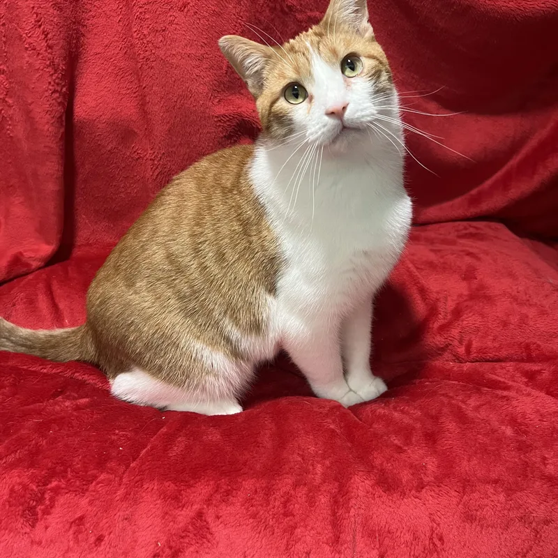 Jack And Colby thumbnail 3