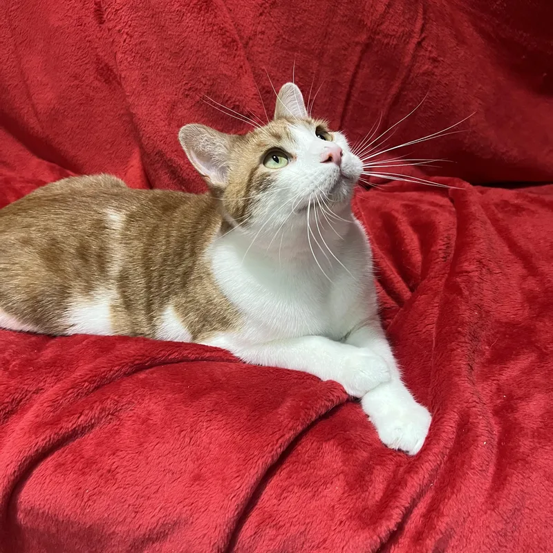 Jack And Colby thumbnail 4