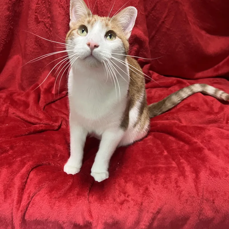 Jack And Colby thumbnail 5