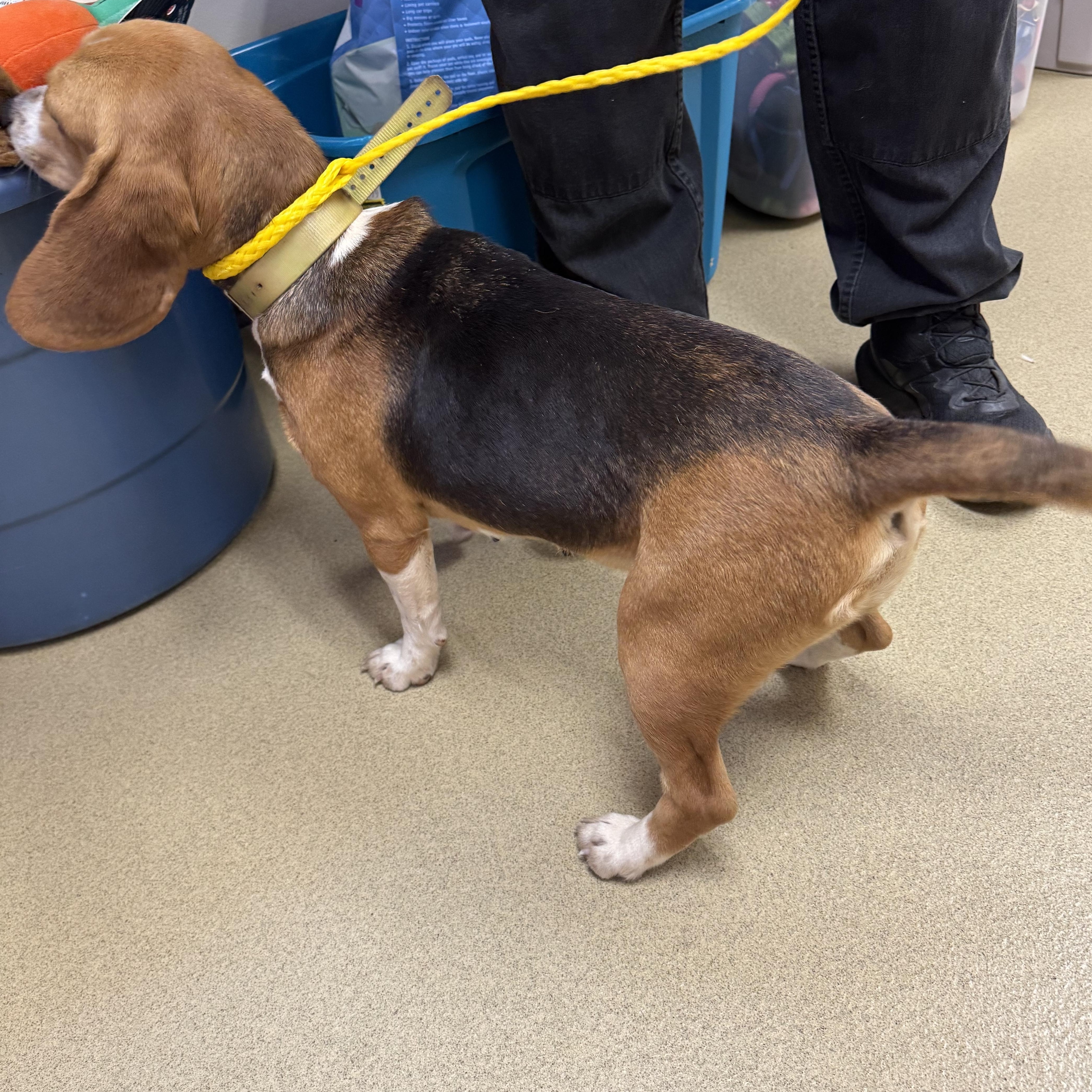 Mary Ann thumbnail 2