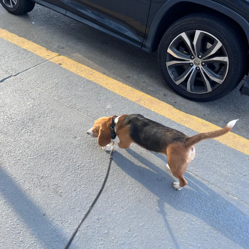 Mary Ann thumbnail 3