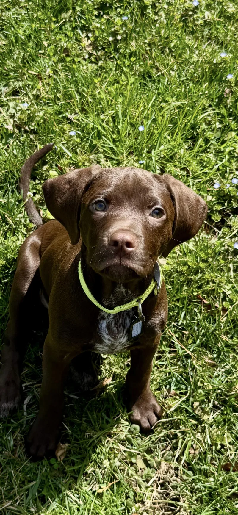 Henrietta thumbnail 4