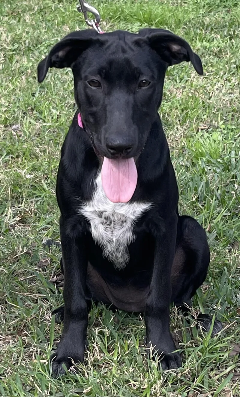 Tipper Rori’s Girl thumbnail 6