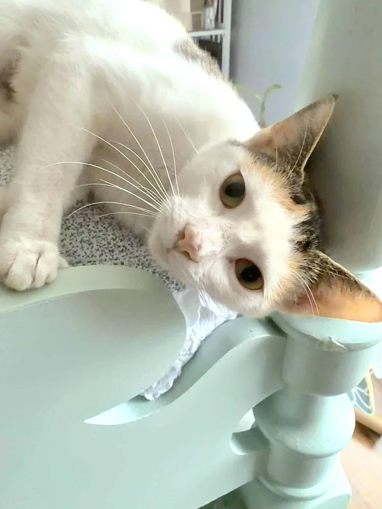 Sasha thumbnail 3
