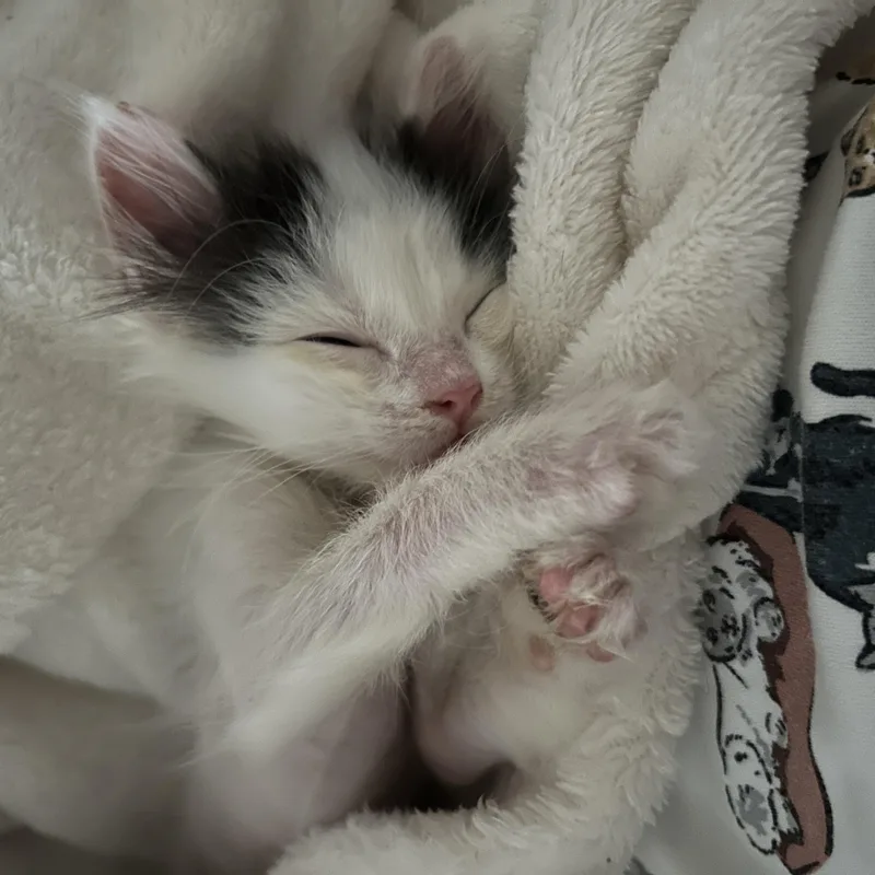 Micro thumbnail 5