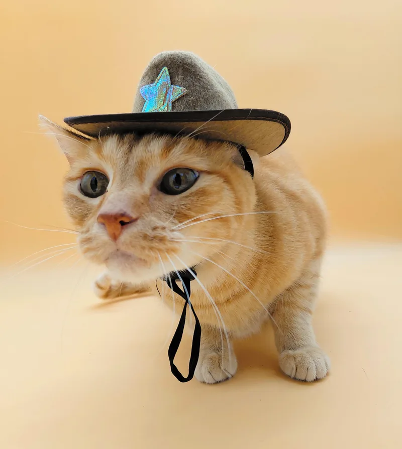 O'malley The Alley Cat thumbnail 3