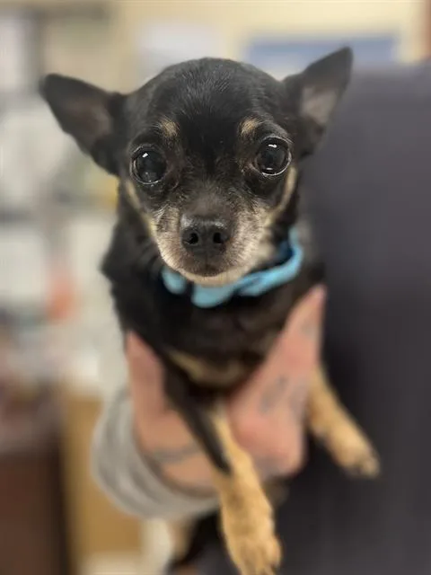 Axle