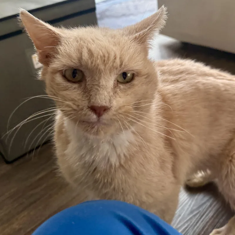 Harry Potter thumbnail 2