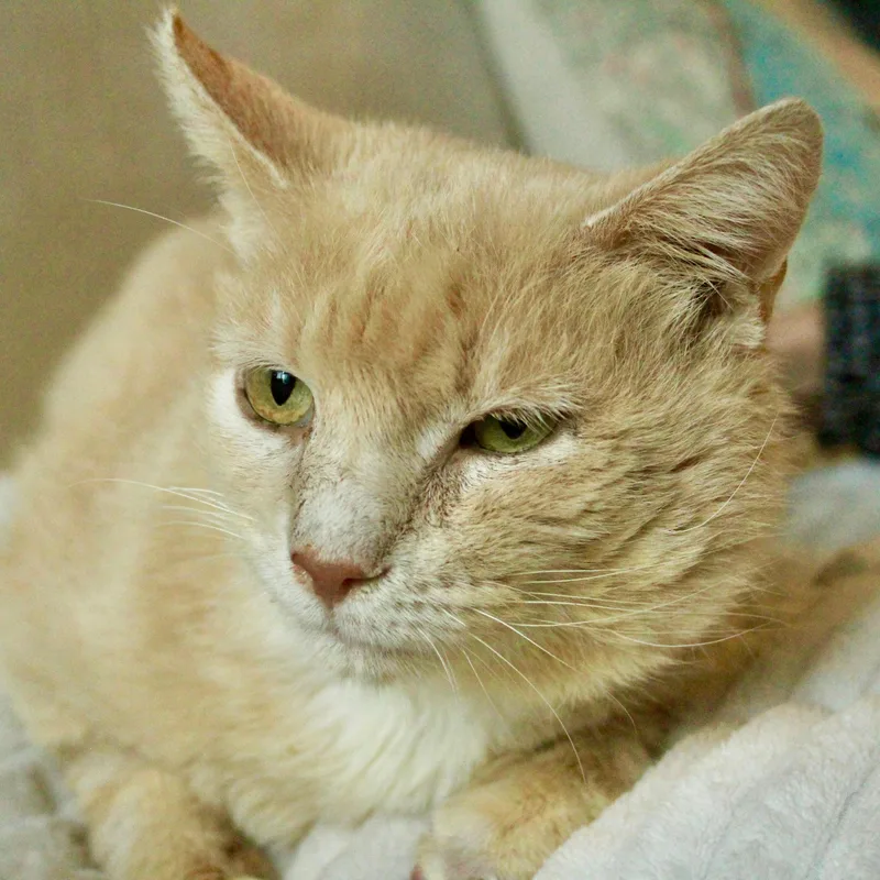 Harry Potter thumbnail 3