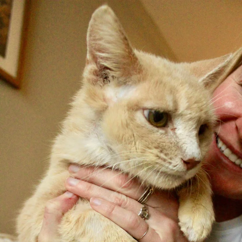 Harry Potter thumbnail 5