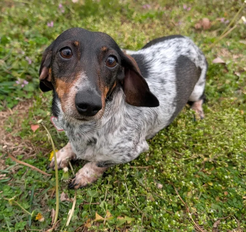 Rudy In Nc thumbnail 3