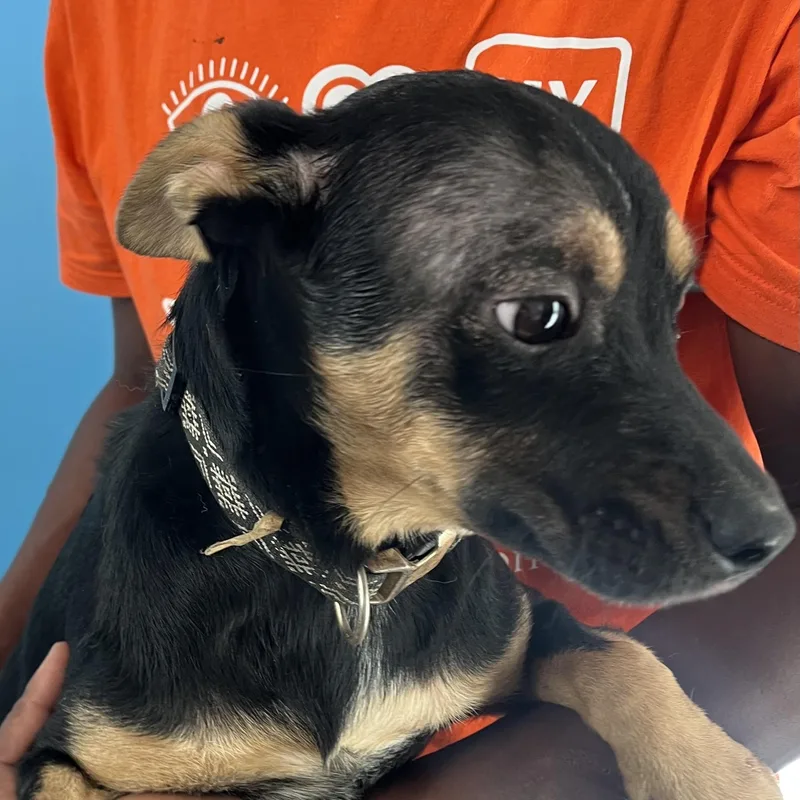 Hannah  Local April thumbnail 2