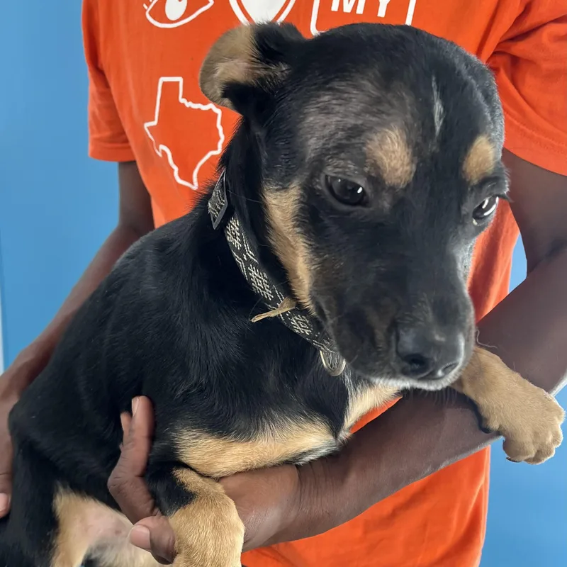 Hannah  Local April thumbnail 3