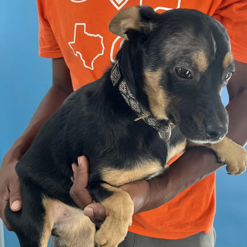 Hannah  Local April thumbnail 4