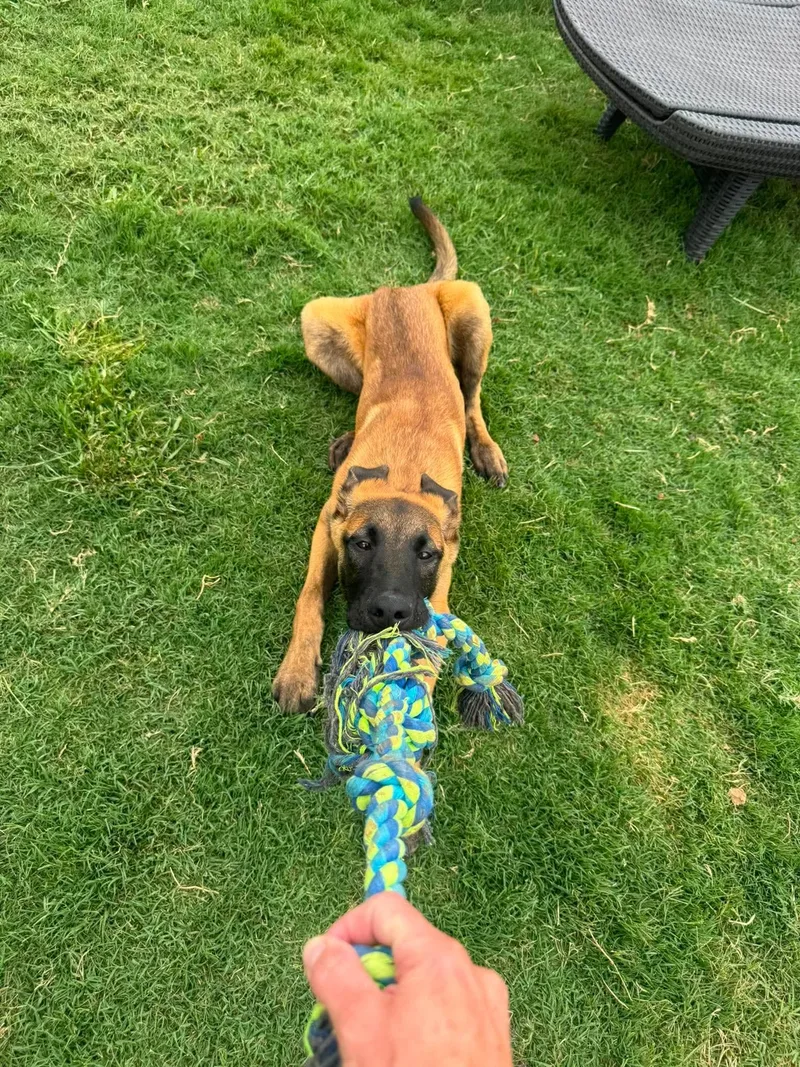 Wilson