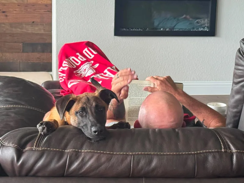 Wilson thumbnail 4