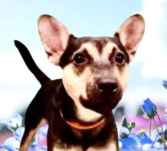 Kevin thumbnail 3