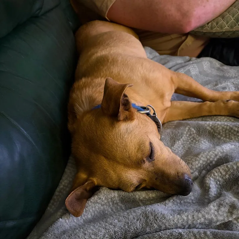 Valentina thumbnail 2