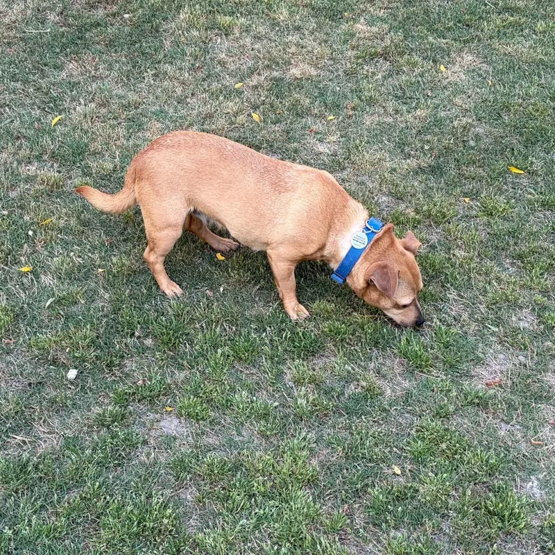 Valentina thumbnail 3