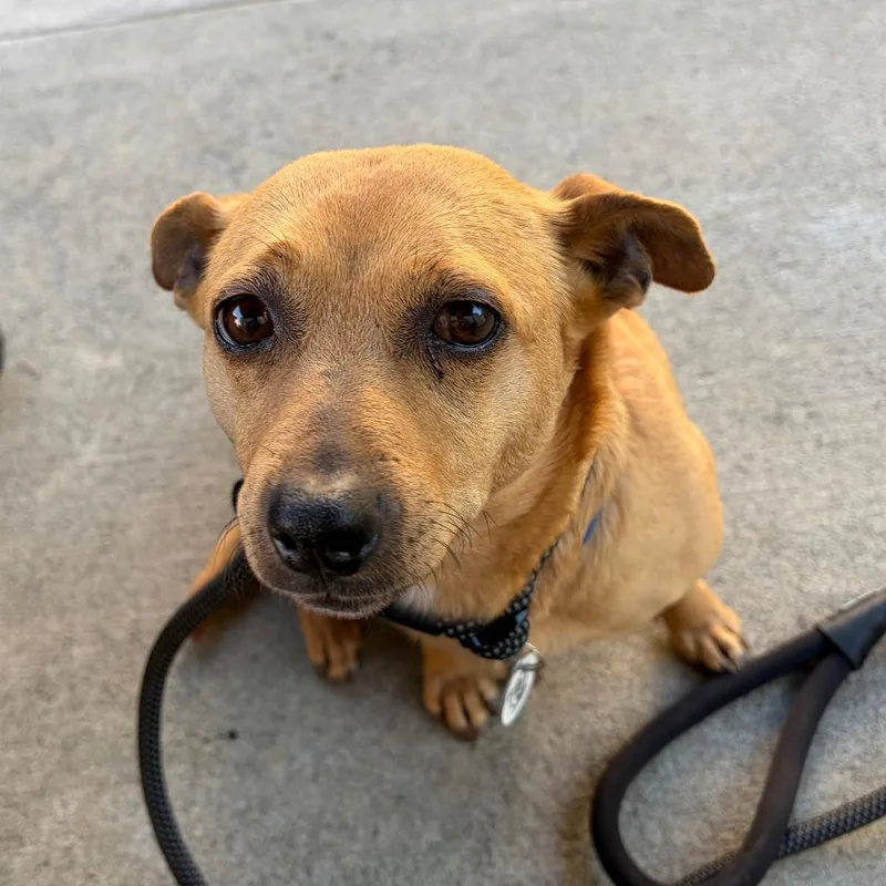 Valentina thumbnail 5