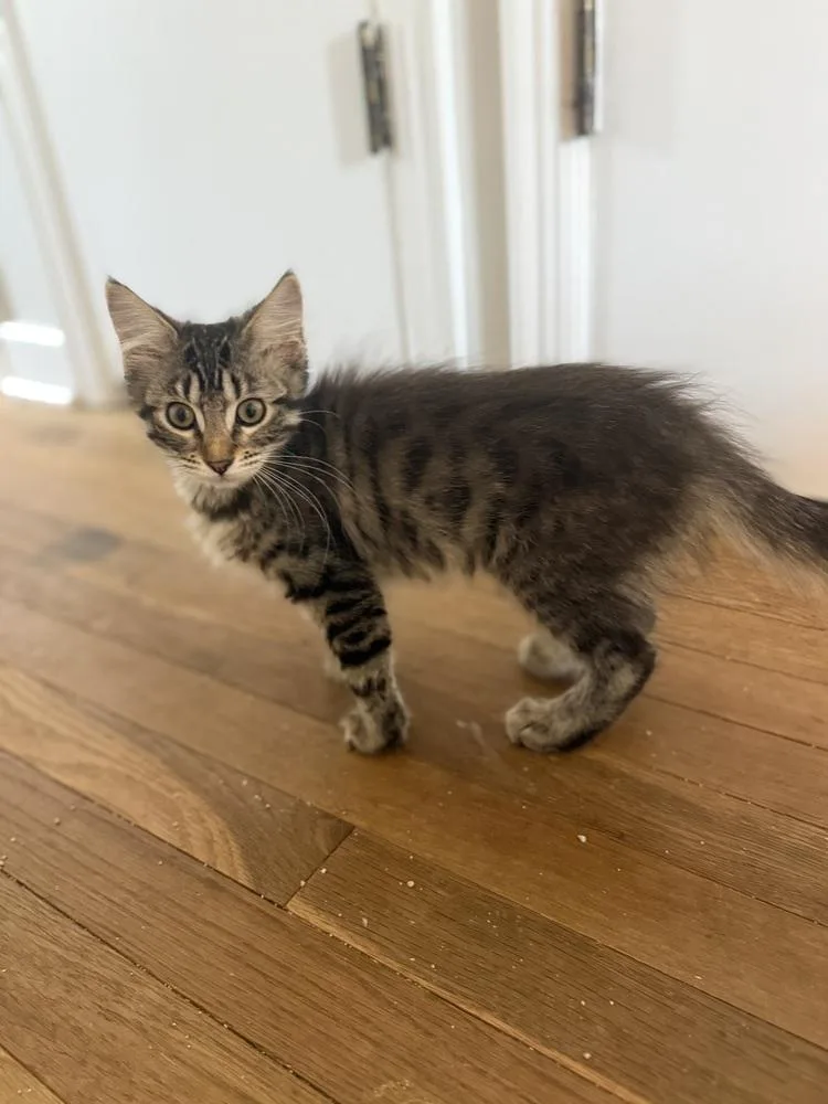 Sunny thumbnail 2