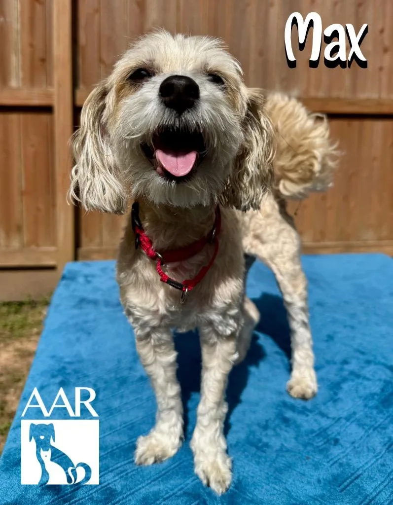 Max