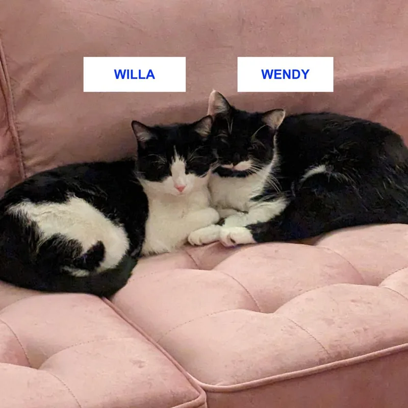 Willa Rockbridge thumbnail 2