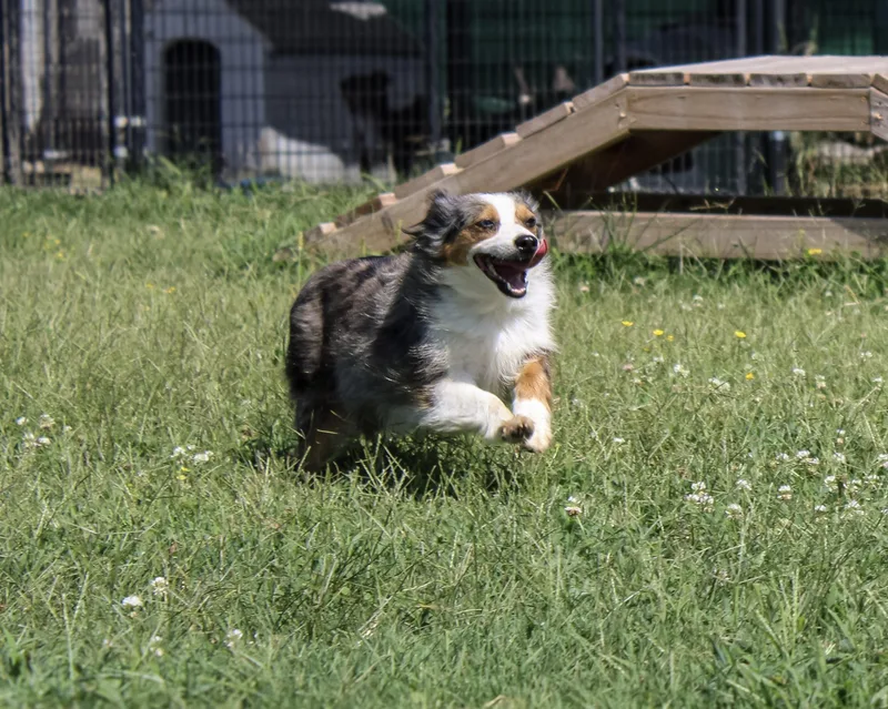 Maggie