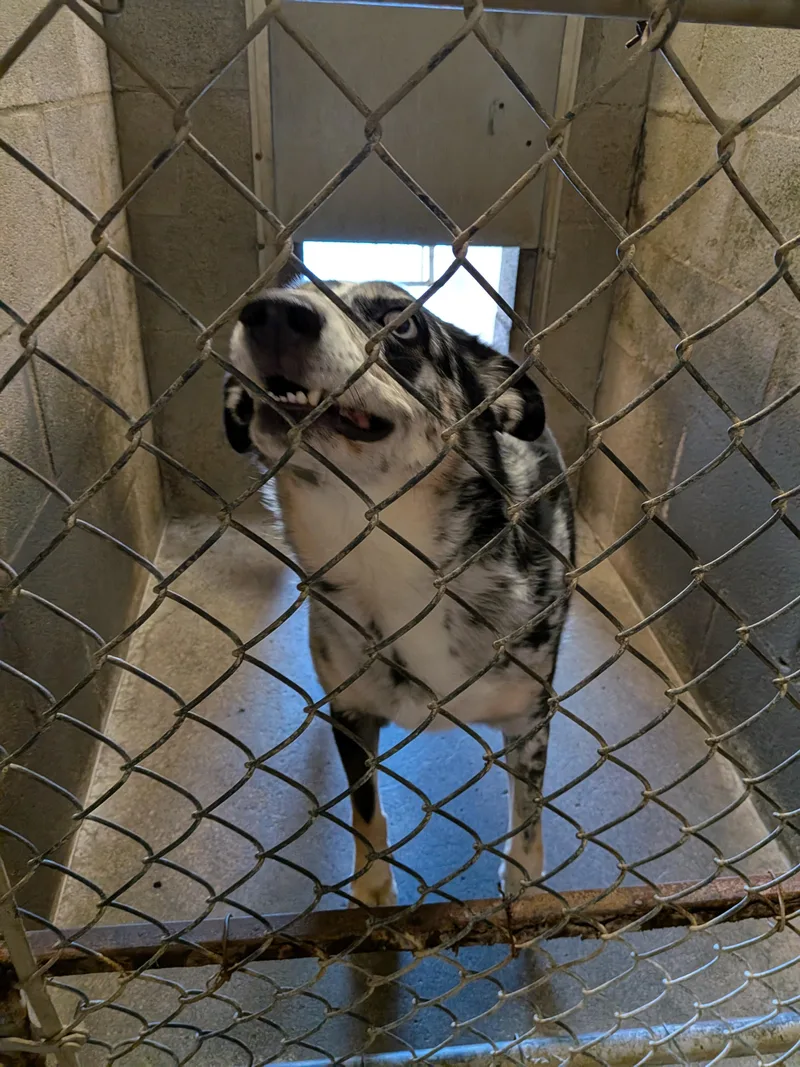 Oakley Marie thumbnail 4