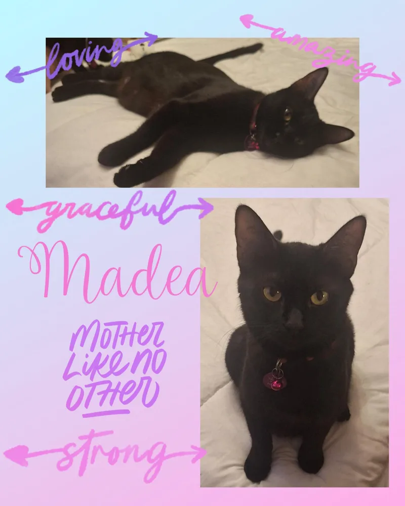 Madea thumbnail 5
