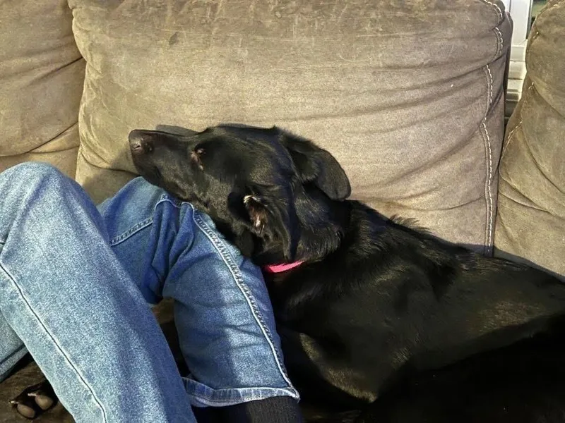 Luna thumbnail 3
