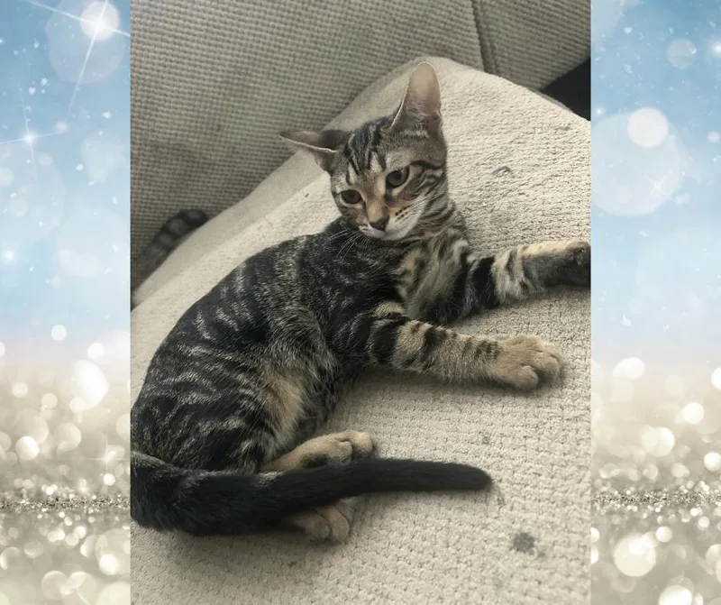 Franchesca thumbnail 2