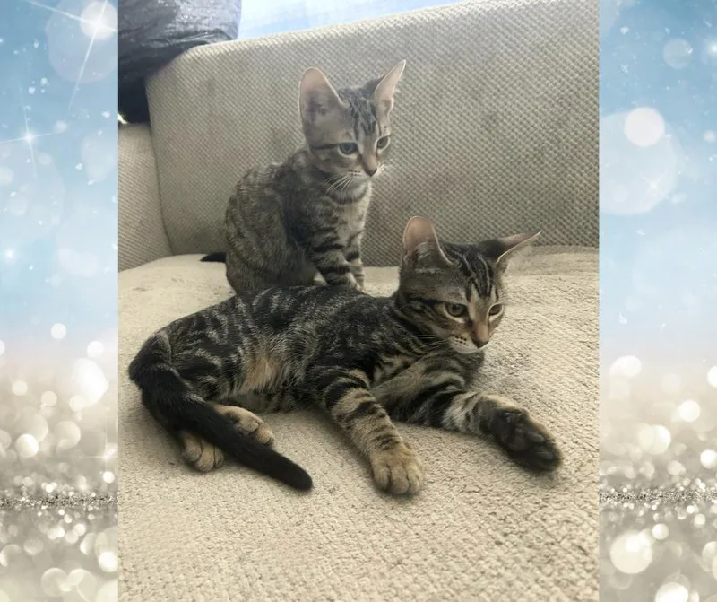 Franchesca thumbnail 3